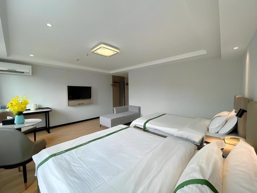 Greentree Inn Hefei East Wangjiang Road Ctce Express Hotel Εξωτερικό φωτογραφία